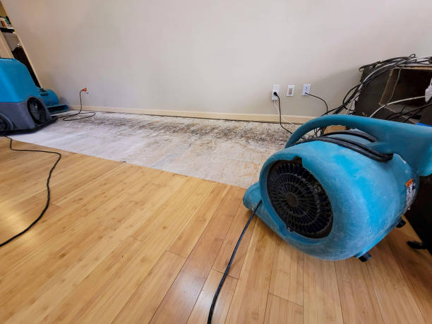 Professional Burst Pipe Water Damage technician working in Fremont, OH
